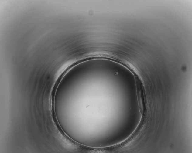 X0000090781082200707271544