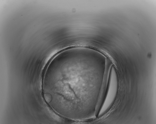 X0000090781083200707271544