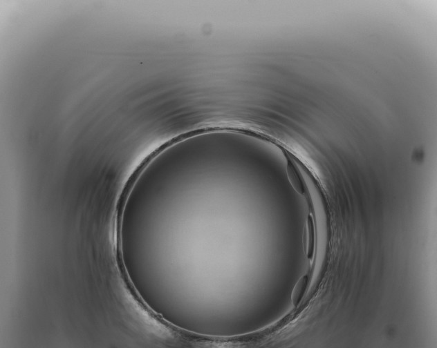 X0000090781084200707271544