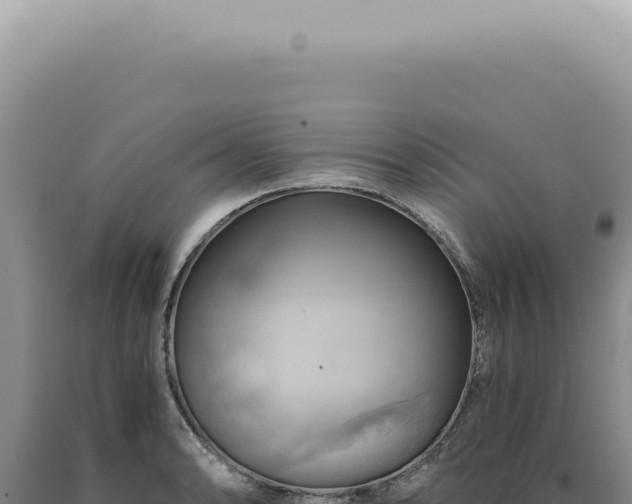 X0000090781086200707271544