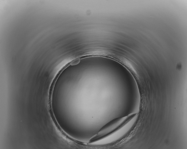 X0000090781087200707271544