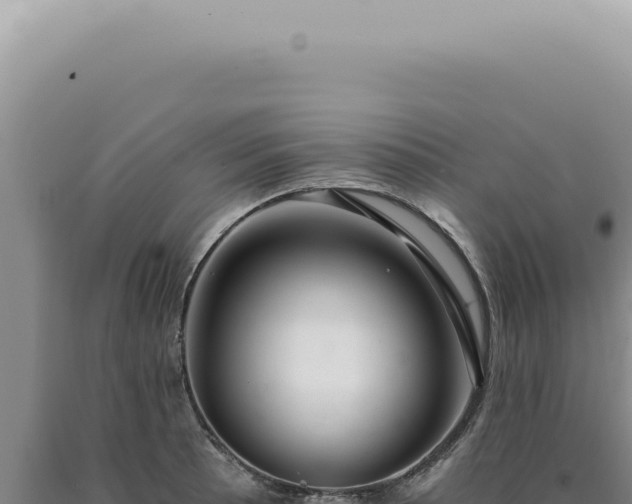 X0000090781089200707271544