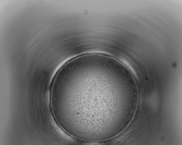 X0000090781092200707271544