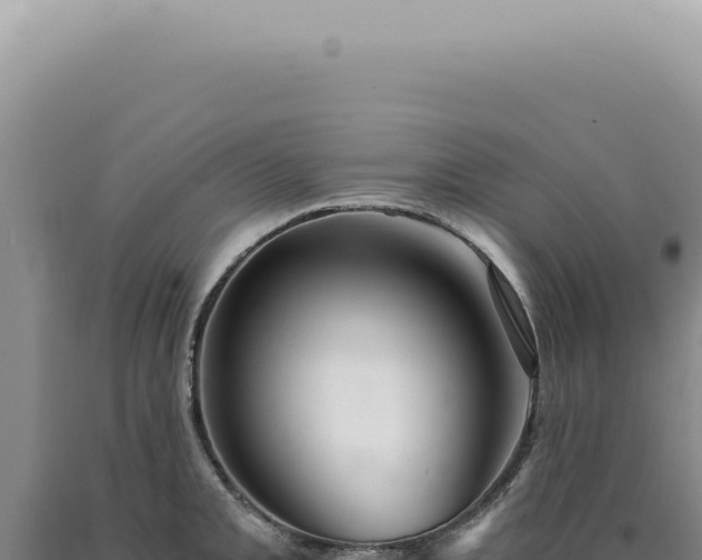 X0000090781093200707271544