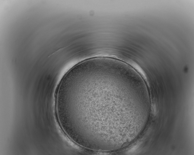 X0000090781096200707271544