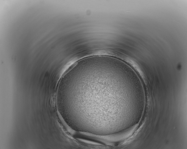 X0000090781097200707271544