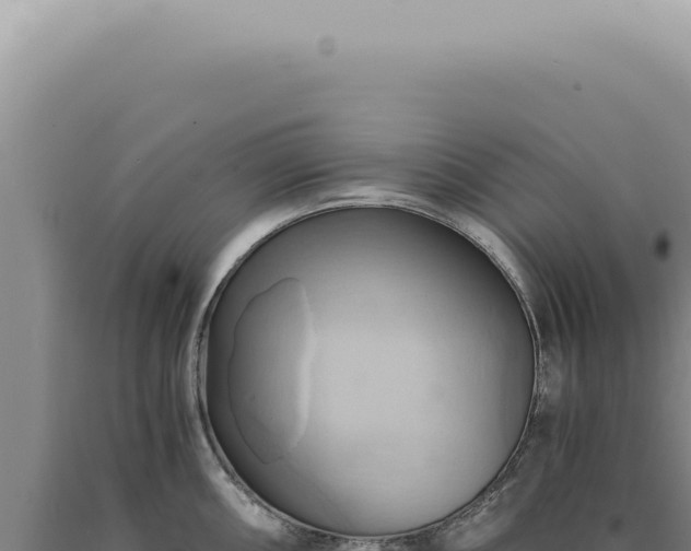 X0000090781098200707271543