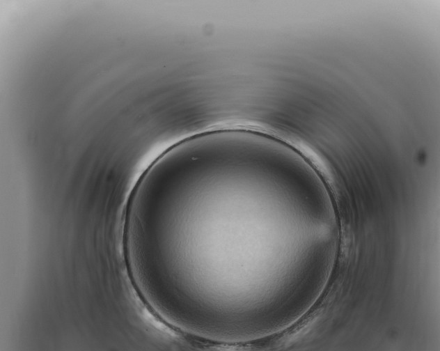 X0000090781102200707271543