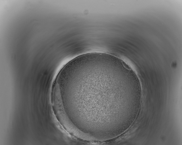 X0000090781104200707271543