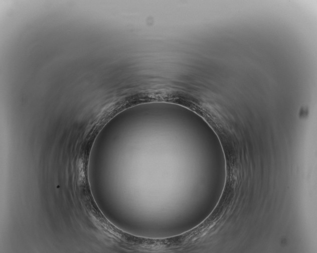 X0000090781106200707271543