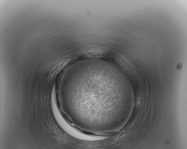 X0000090781108200707271543