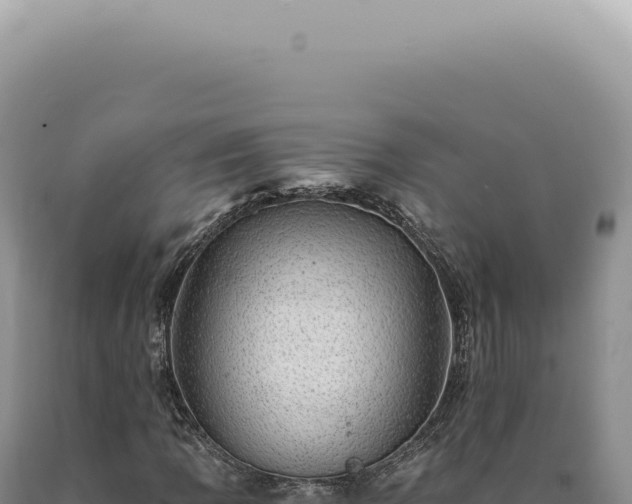 X0000090781109200707271543
