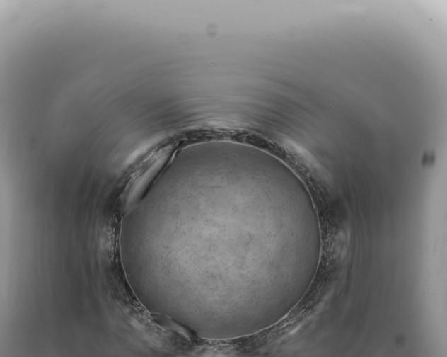 X0000090781110200707271543
