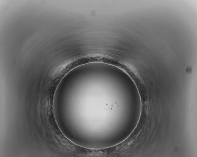 X0000090781111200707271543