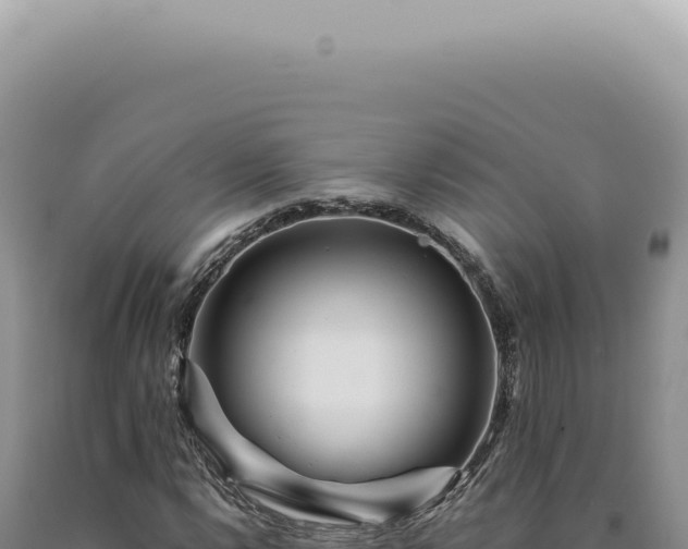X0000090781112200707271543