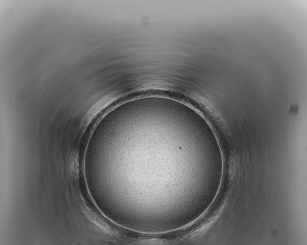 X0000090781113200707271543