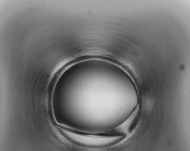 X0000090781114200707271543