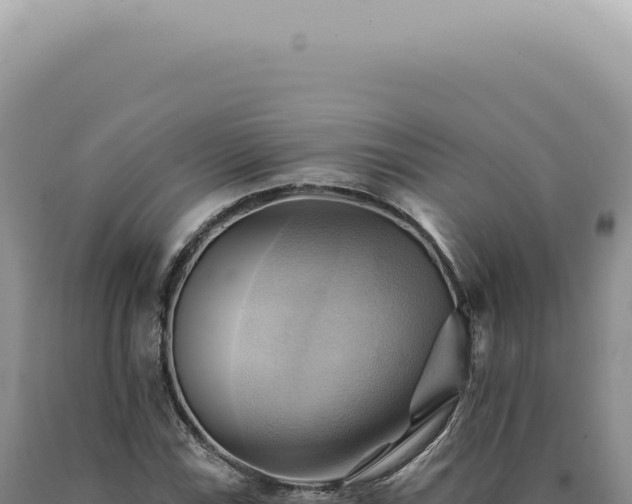 X0000090781115200707271543