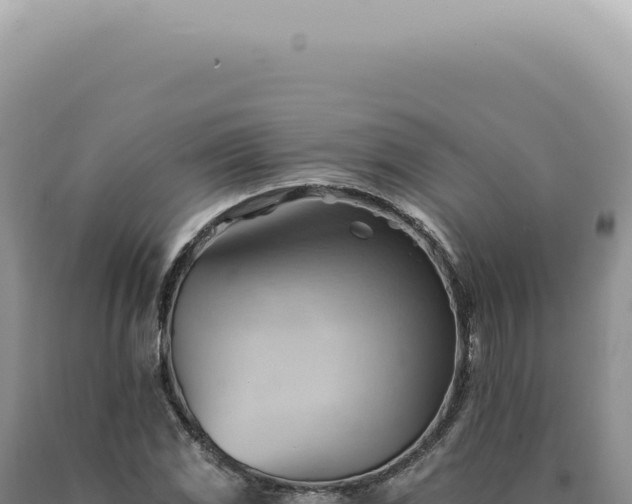 X0000090781117200707271543