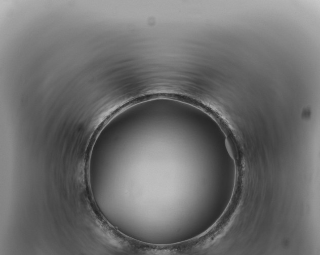X0000090781121200707271543