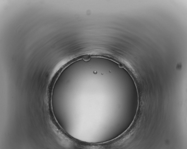 X0000090781122200707271543
