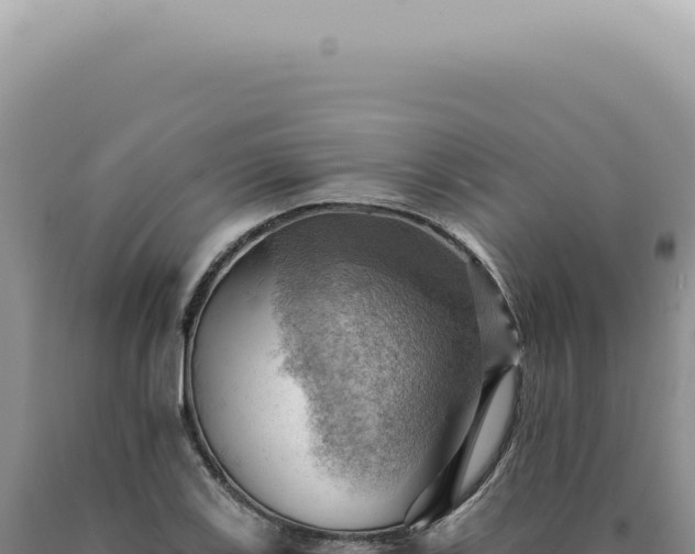X0000090781123200707271543