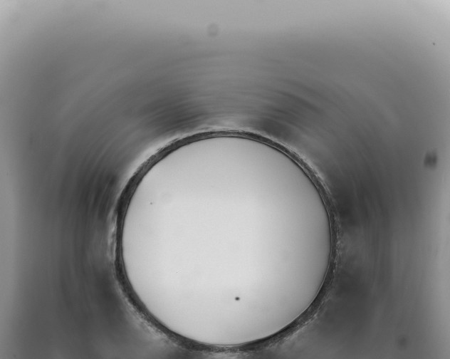 X0000090781126200707271543