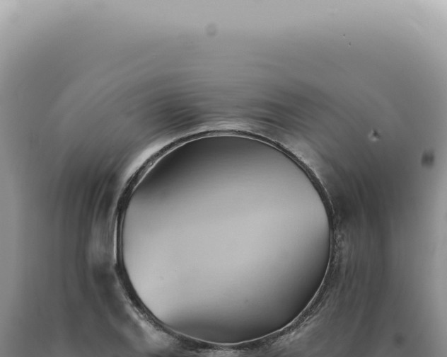 X0000090781127200707271543