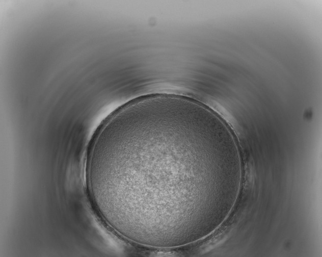 X0000090781128200707271543