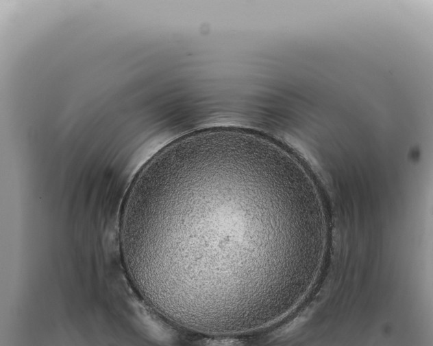 X0000090781129200707271543