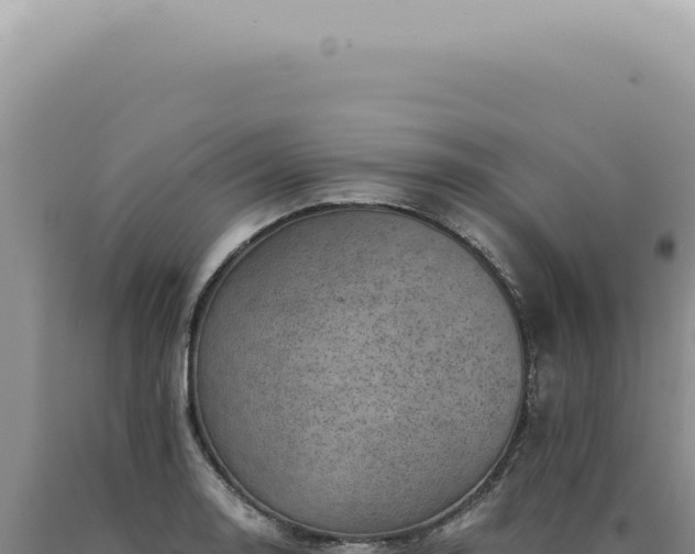 X0000090781130200707271543