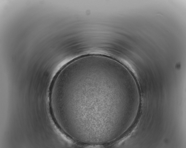X0000090781133200707271543