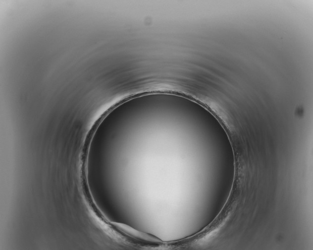 X0000090781134200707271543