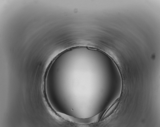 X0000090781136200707271543