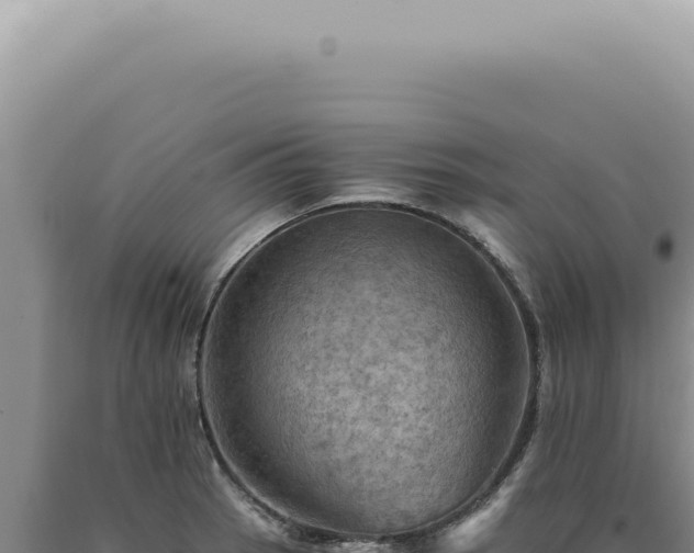 X0000090781137200707271543