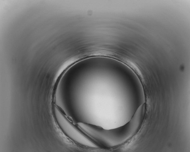 X0000090781138200707271543