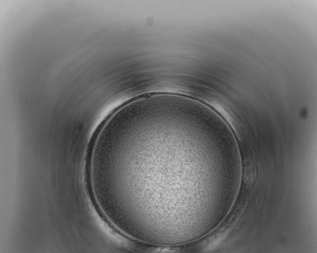 X0000090781139200707271543