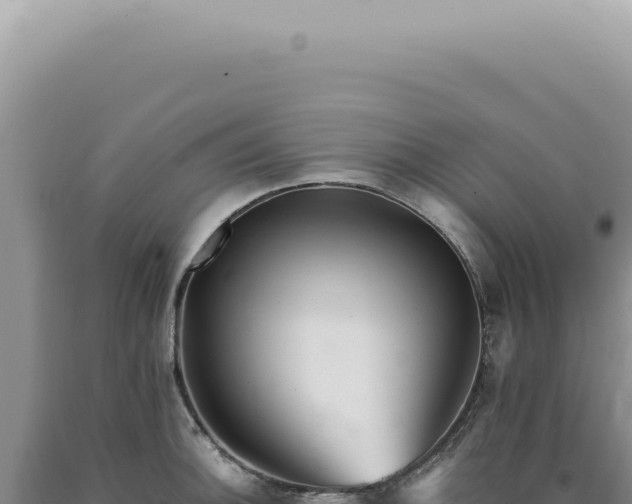 X0000090781140200707271543