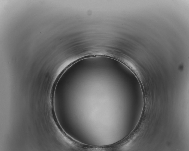 X0000090781141200707271543