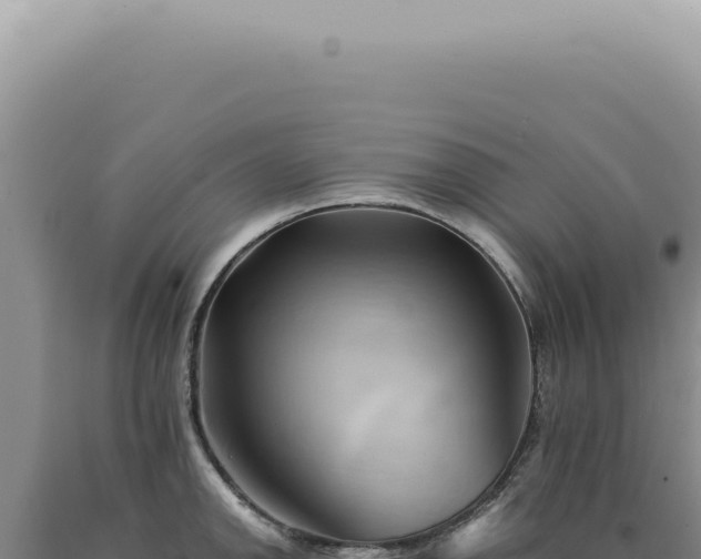 X0000090781142200707271543