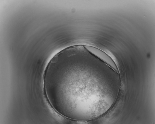 X0000090781144200707271543