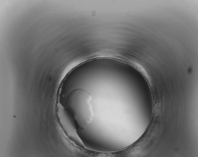 X0000090781146200707271543