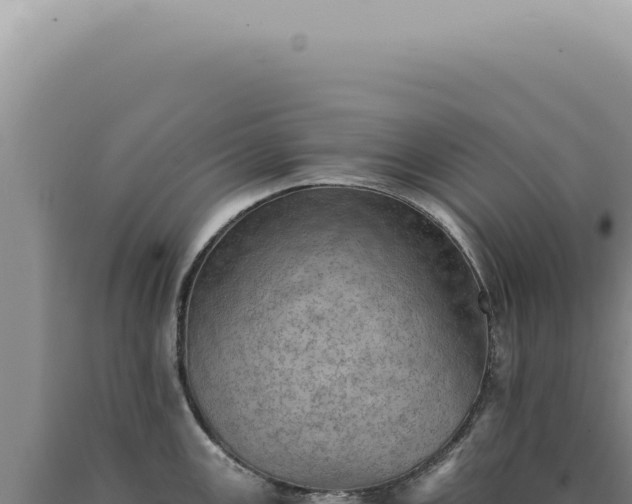 X0000090781147200707271543