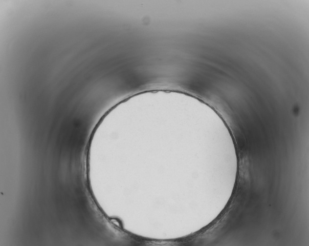 X0000090781150200707271543