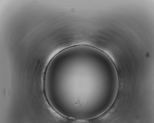 X0000090781151200707271543
