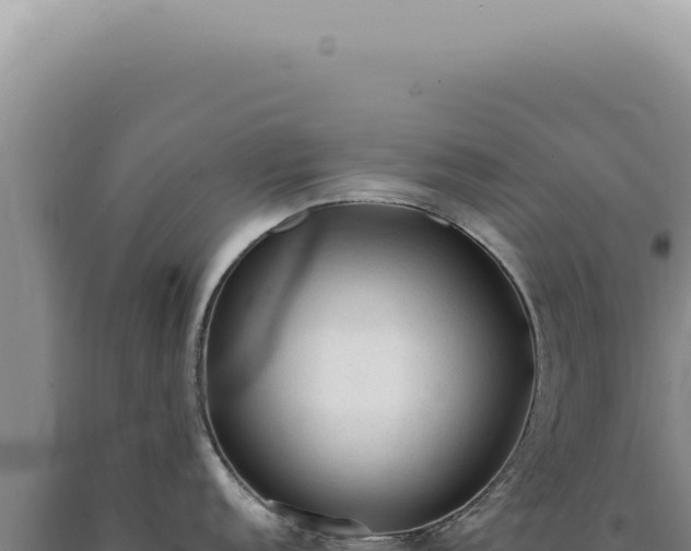 X0000090781152200707271543