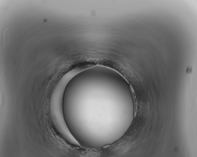 X0000090781153200707271543