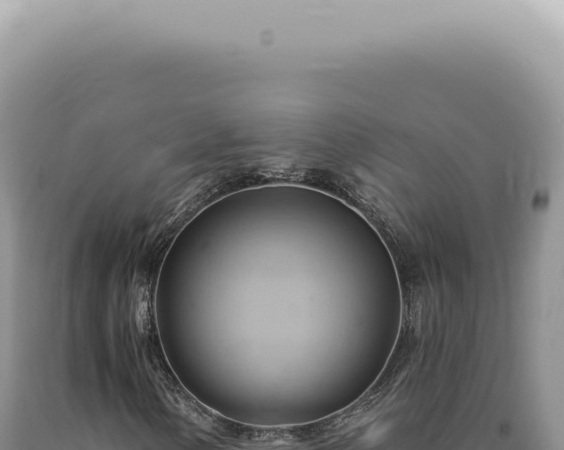 X0000090781154200707271543