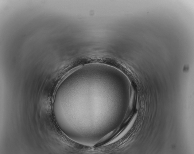 X0000090781156200707271543