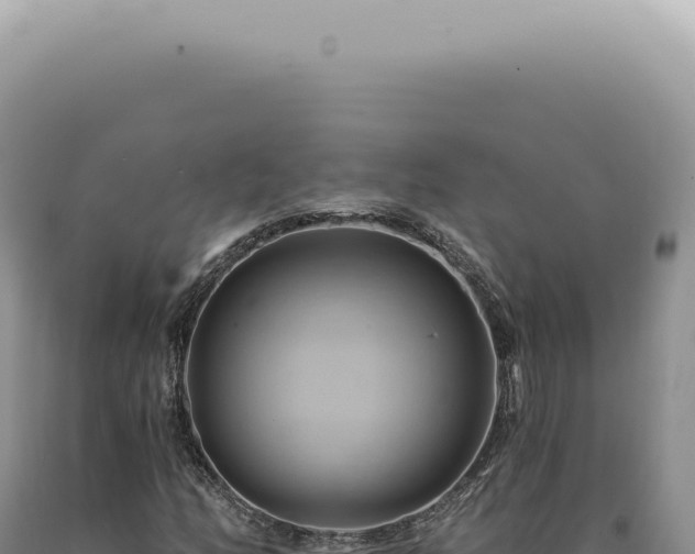 X0000090781158200707271543